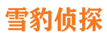 精河外遇调查取证